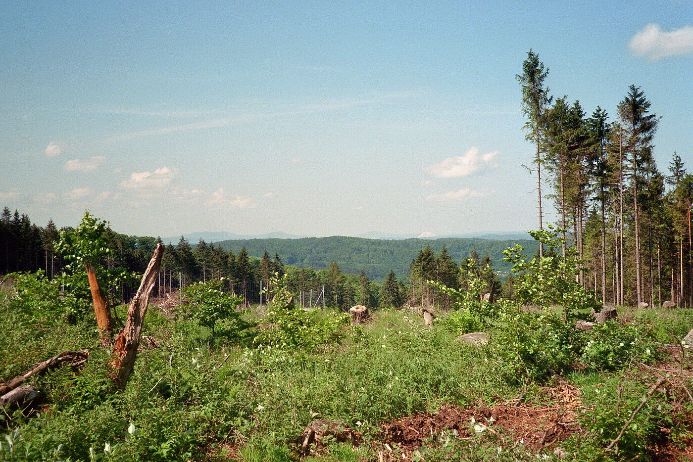 Blick vom Rennsteig aus auf die Rhön