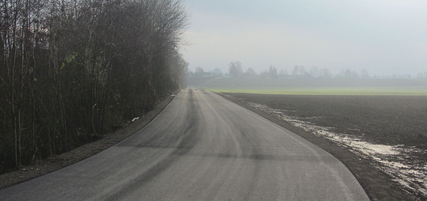  Das Wunder Pappelweg 2020, Blickrichtung Bad Vilbel–Dortelweil