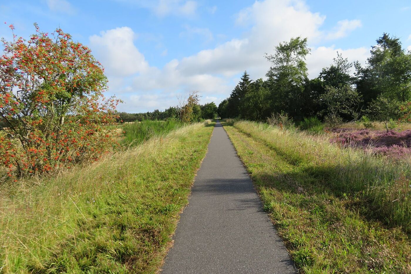Typischer Streckenabschnitt Bahntrassenradweg