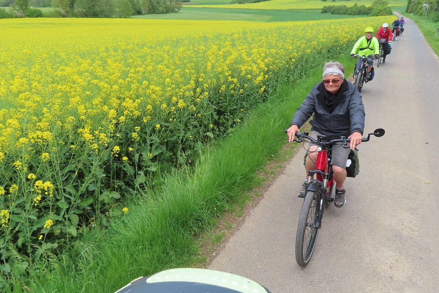 Durch Felder und Fluren der Wetterau, Rapsfeld